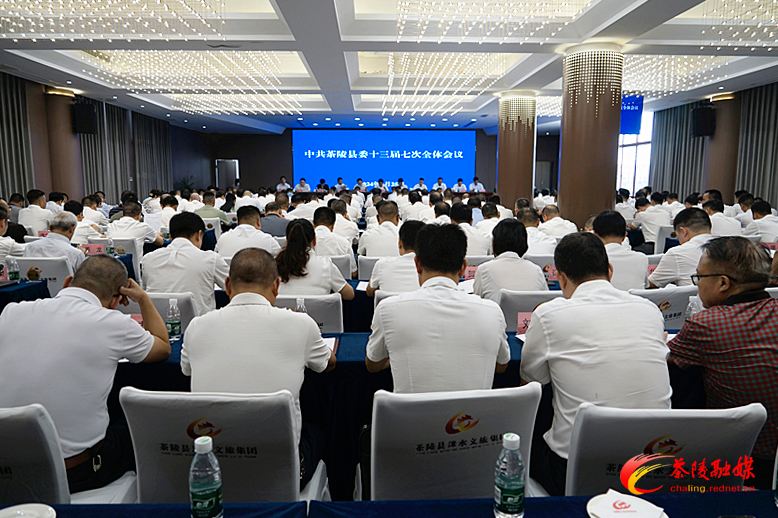 中共茶陵县委十三届七次全体会议召开