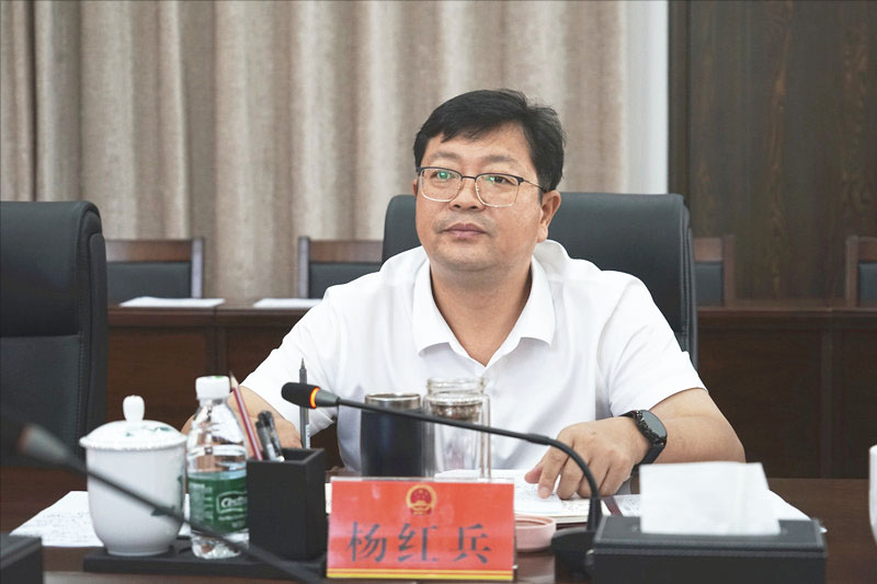 杨红兵调度茶陵县重点项目