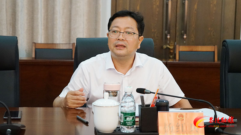 杨红兵调度茶陵县项目入库、“四上”企业培育、项目开竣工工作