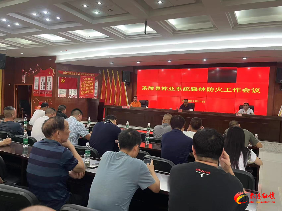 茶陵县召开林业系统森林防火会议