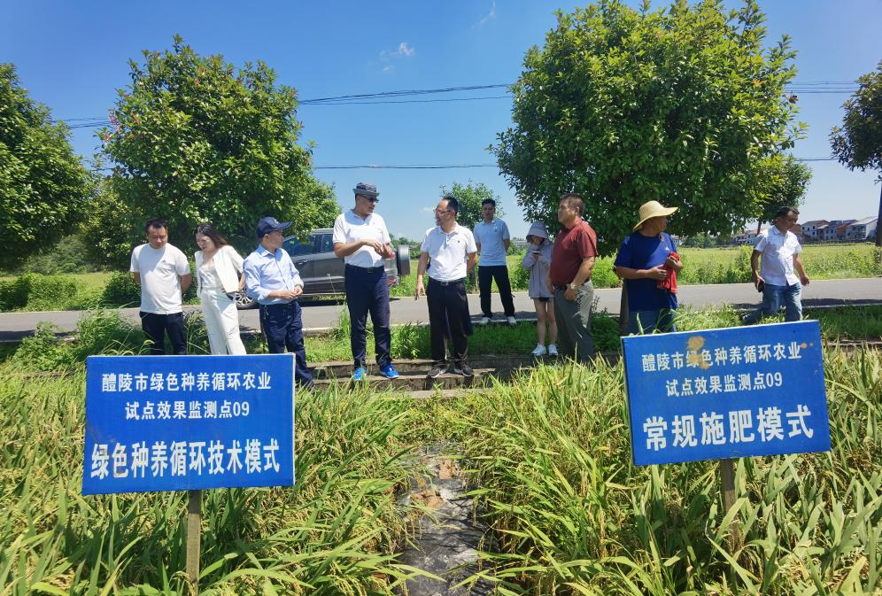埃及知名农业专家来醴考察绿色种养循环农业