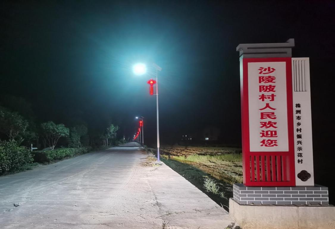 联星街道沙陵陂村：党建引领促服务，亮化工程暖民心