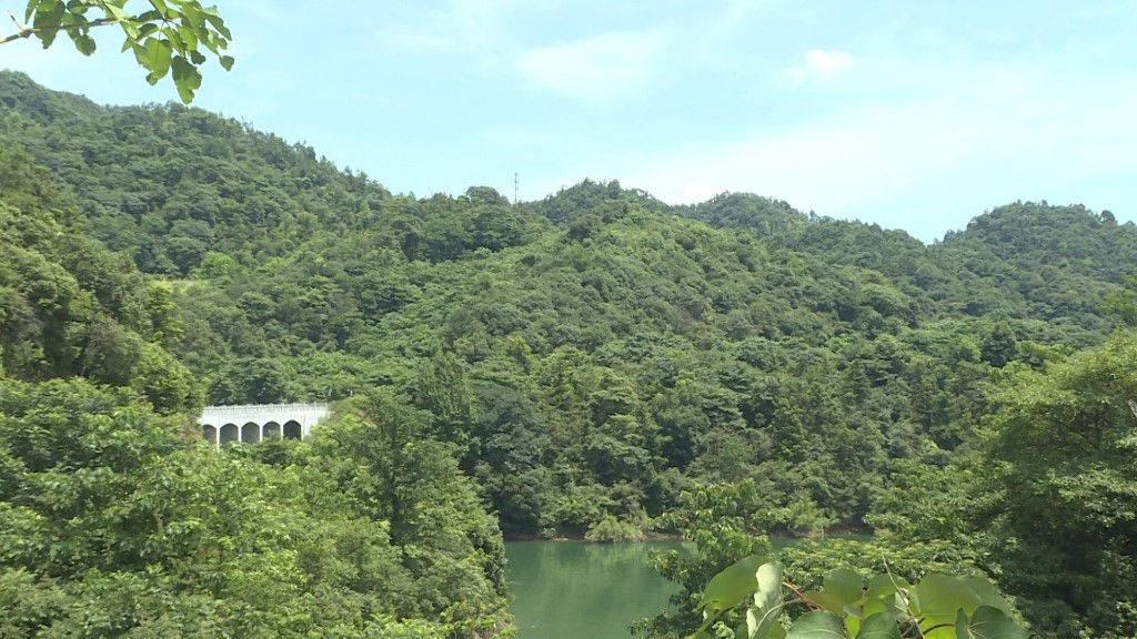武挪强调研自然保护地管理工作并开展巡河、巡林