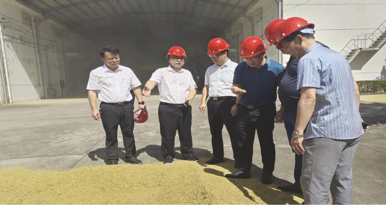 县领导调研夏粮收购工作情况