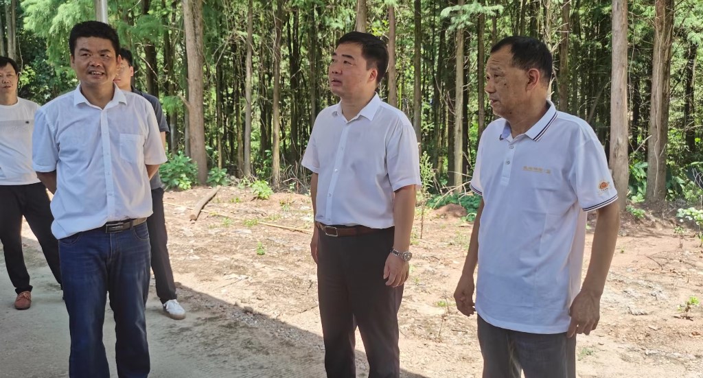 李鹏程暗访烟花企业安全生产工作 强调：全面加强安全隐患排查 牢牢守住安全生产底线