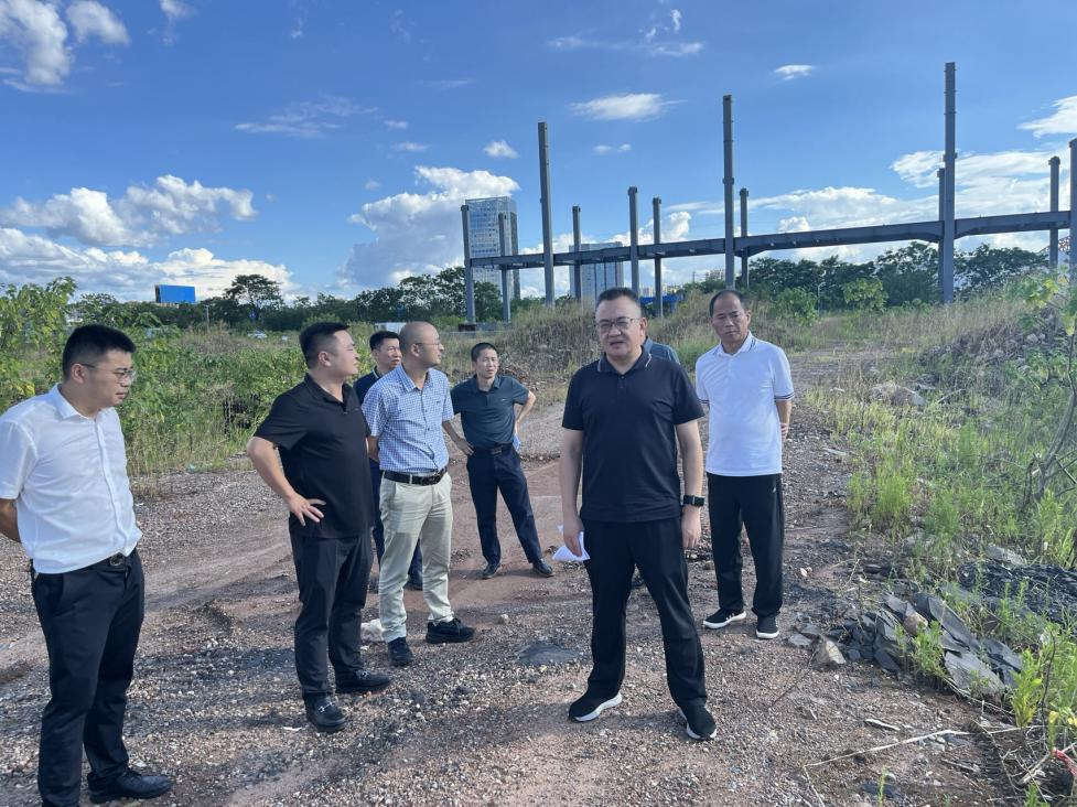 周其伟到清水塘督查长江经济带警示片披露问题整改销号工作