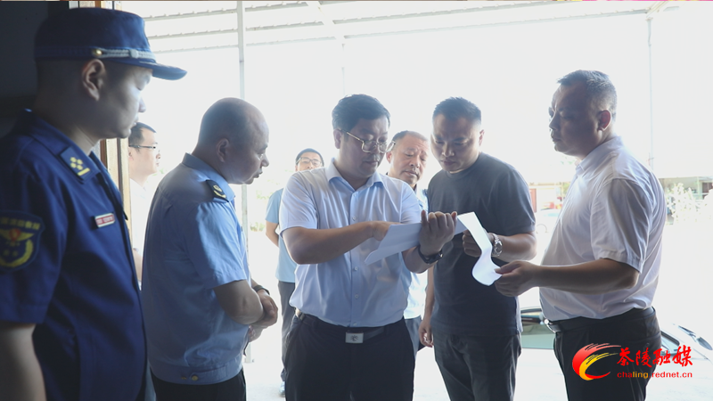 杨红兵到界首镇、枣市镇暗访督查