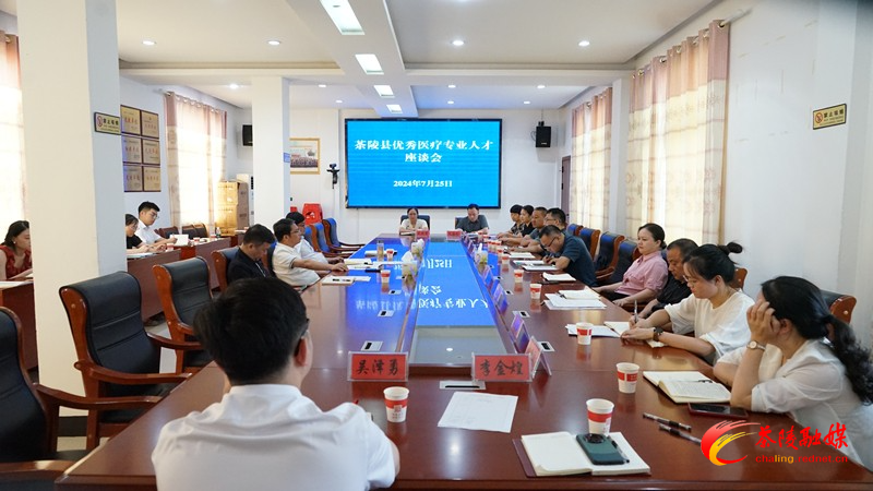 茶陵县召开优秀医疗专业人才座谈会