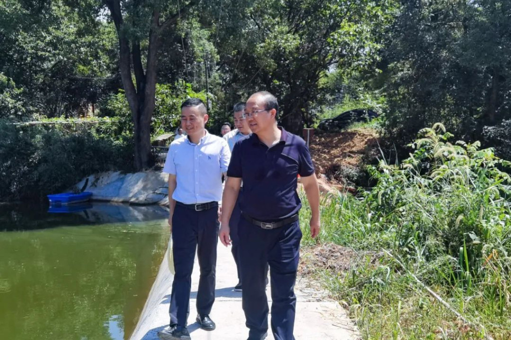 区委书记唐卫湘赴白关镇巡林、巡河并督导抗旱工作