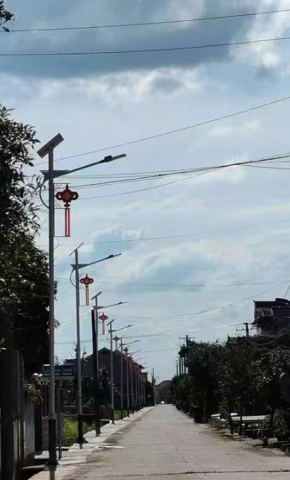 联星街道沙陵陂村：党建引领促服务，亮化工程暖民心