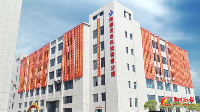 茶陵县翔膜光电竣工投产仪式举行