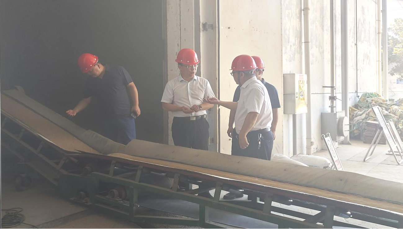县领导调研夏粮收购工作情况