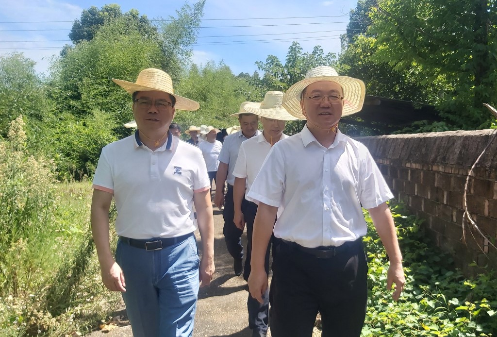 副市长杨胜跃来攸调研粮食生产综合示范片创建及巡林、防汛抗旱等工作