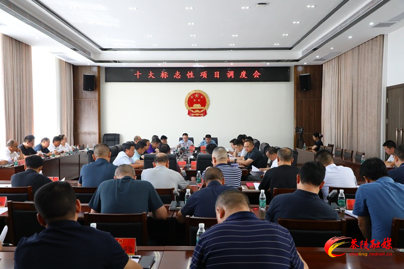 茶陵县召开十大标志性项目调度会