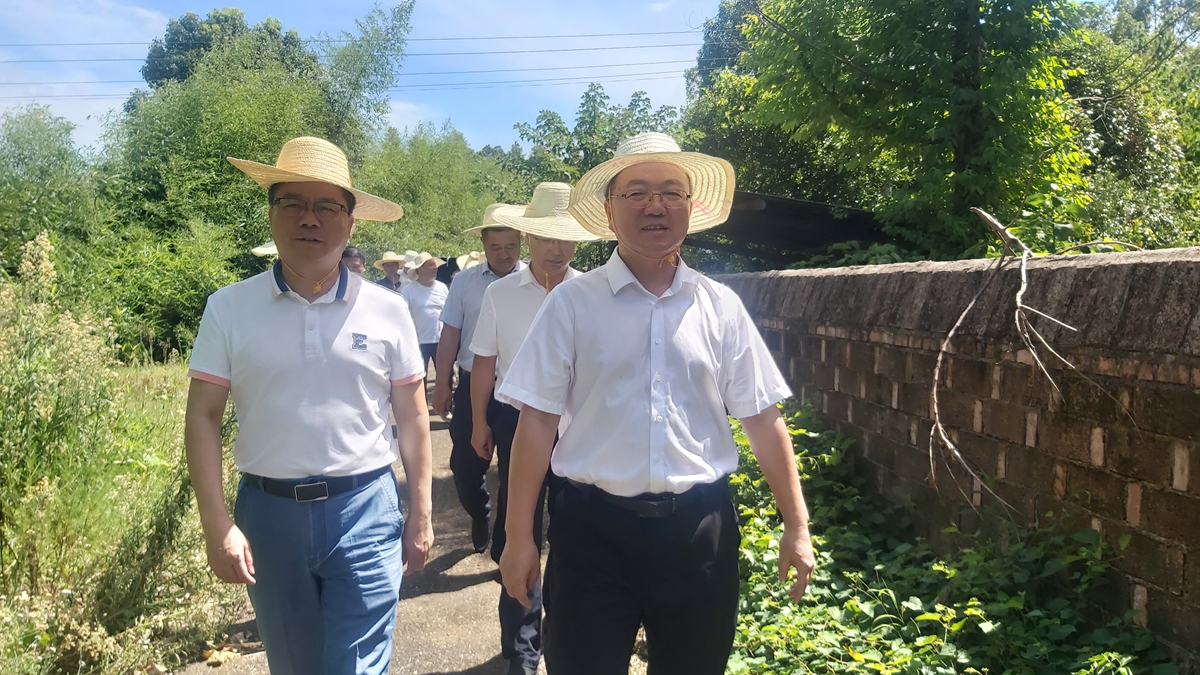 我市供销合作社系统农业社会化服务能力大幅提升