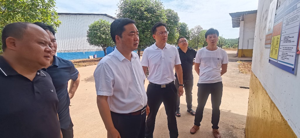 李鹏程暗访烟花企业安全生产工作 强调：全面加强安全隐患排查 牢牢守住安全生产底线