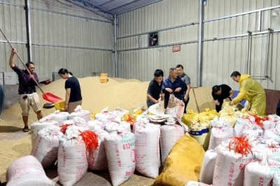 炎陵：党员干部鏖战风雨 筑牢防汛救灾“铜墙铁壁”