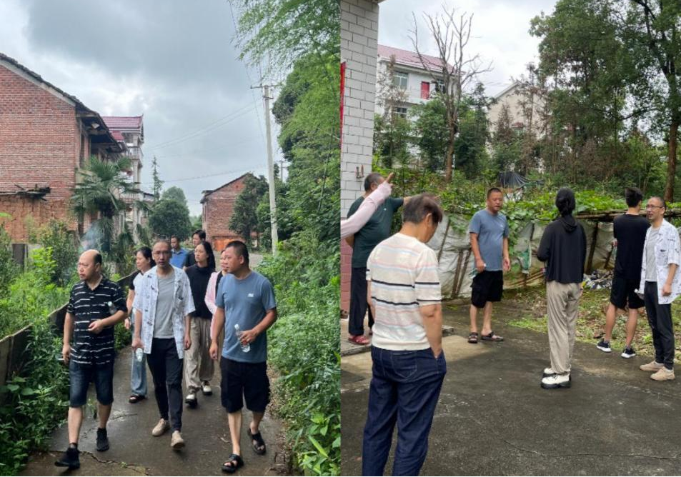联星街道泰青塘村:凝共识聚发展,让“小庭院”焕发“大活力”