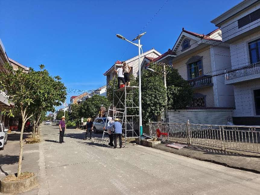 联星街道沙陵陂村：党建引领促服务，亮化工程暖民心