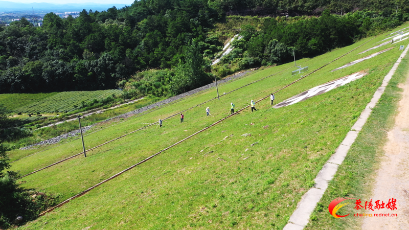 茶陵：“地毯式”巡查堤坝 守护水库安全