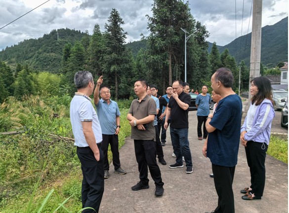 地质灾害防治，资规系统在行动