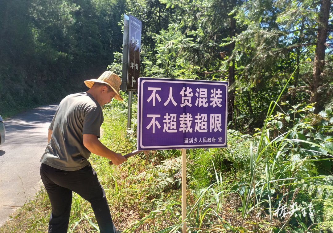 垄溪乡全力护航黄桃销售季