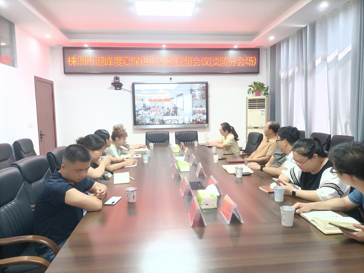 扛牢责任 积极作为  坚决打好迎峰度夏电力保供攻坚战——市政府召开迎峰度夏电力保供专题部署会
