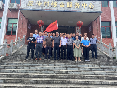 市派驻攸县工作队临时党支部组织召开“发挥社会组织作用 推动集体经济增量”研讨会