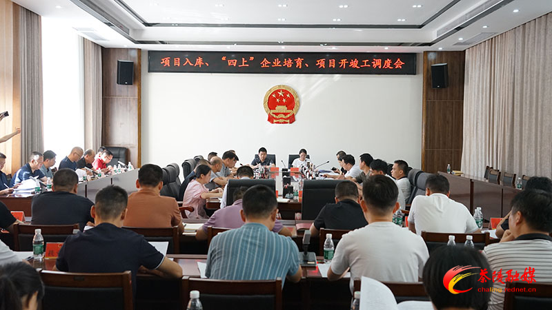杨红兵调度茶陵县项目入库、“四上”企业培育、项目开竣工工作