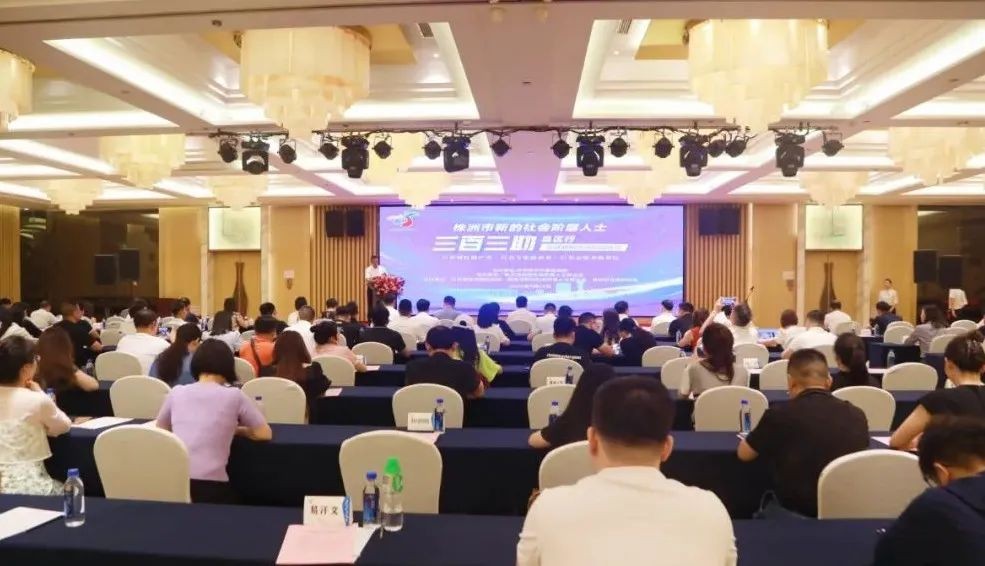 株洲市新的社会阶层人士“三百三助”县区行走进醴陵