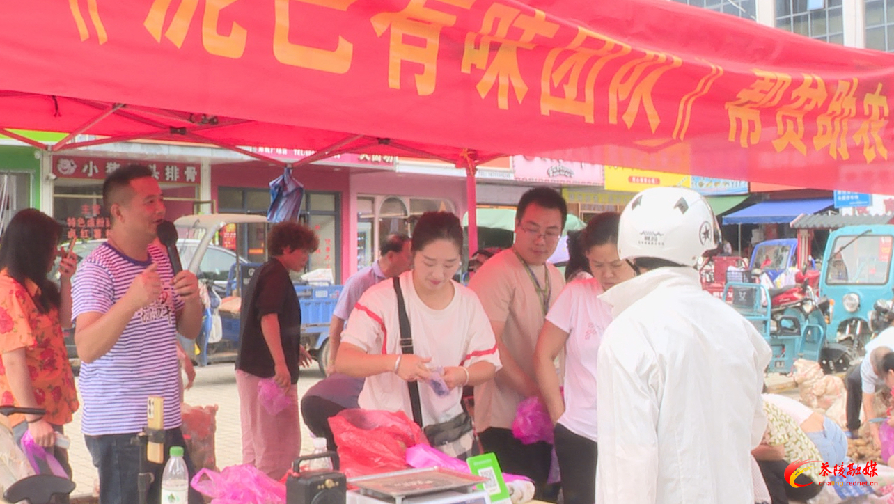 茶陵：黄金土豆销售难 直播团队来助力
