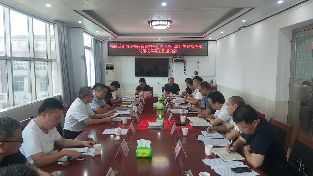 副市长杨胜跃来攸调研粮食生产综合示范片创建及巡林、防汛抗旱等工作