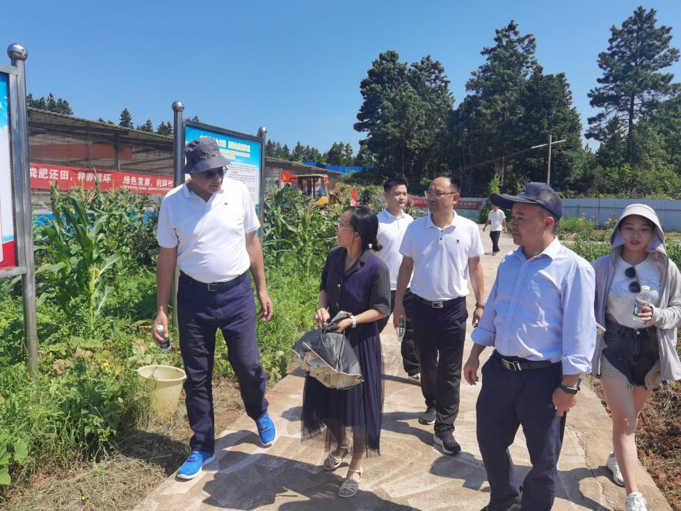 埃及知名农业专家来醴考察绿色种养循环农业