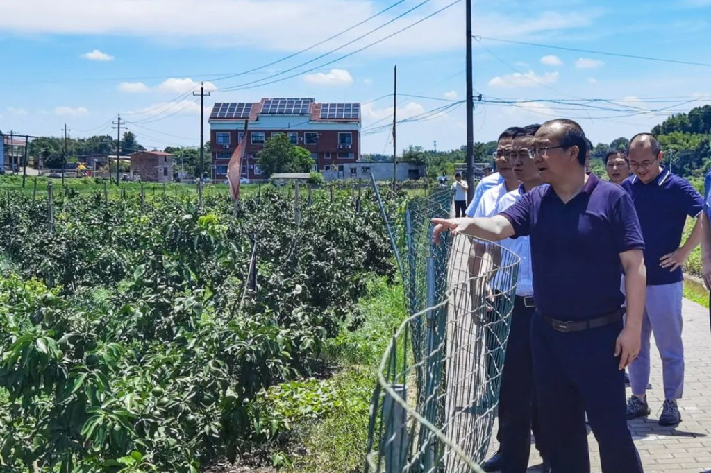 区委书记唐卫湘赴白关镇巡林、巡河并督导抗旱工作