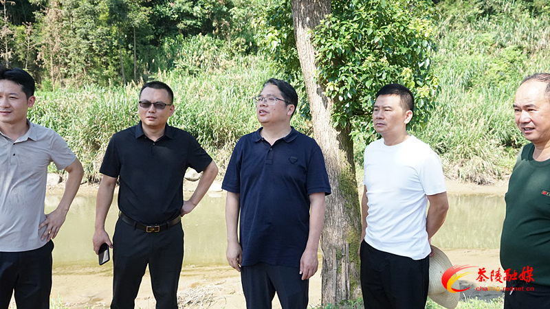 邓元连到高陇镇调研