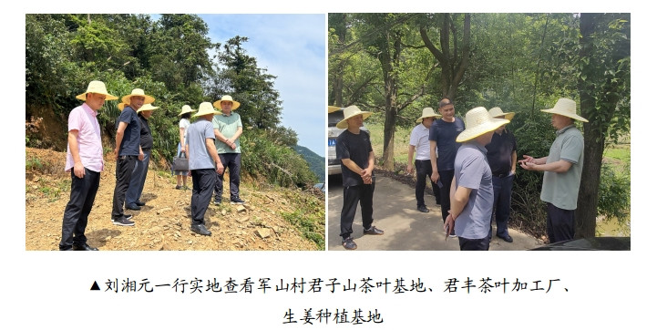 市机关事务管理局深入醴陵市均楚镇军山村调研乡村振兴工作