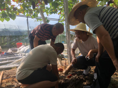 省农业农村厅调研组来醴调研土肥水重点工作