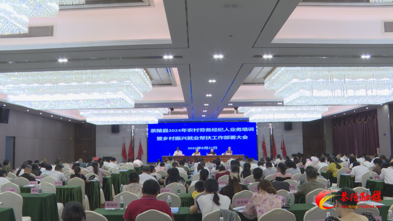 茶陵县2024年农村劳务经纪人业务培训暨乡村振兴就业帮扶工作部署大会召开