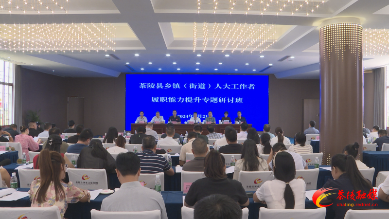 茶陵县乡镇（街道）人大工作者履职能力提升专题研讨班开班