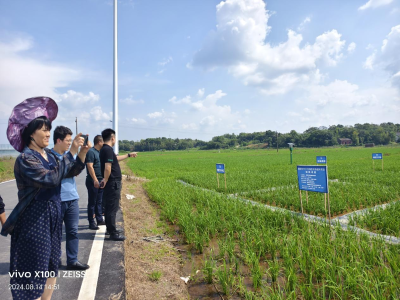 农业农村部专家团调研醴陵市绿色种养循环农业试点工作