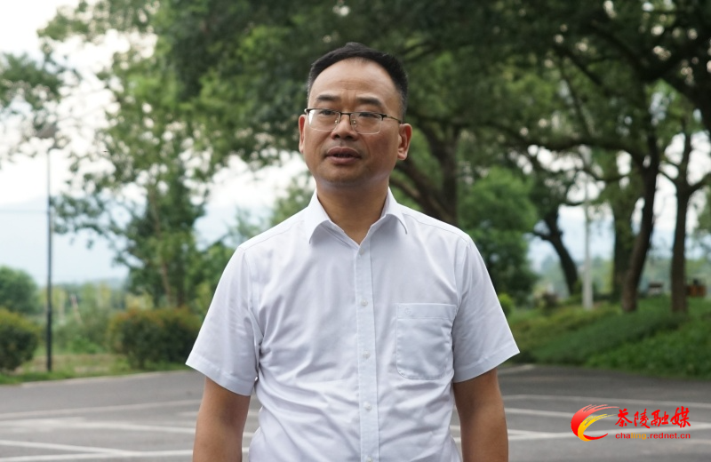 何恩广一行来茶调研