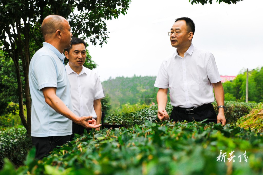 何恩广来炎调研