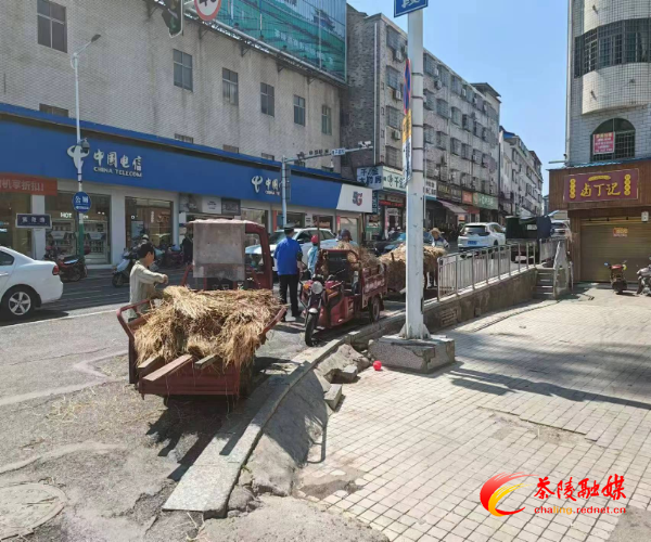 茶陵县城管局：提前介入 严控中元节祭祀乱象