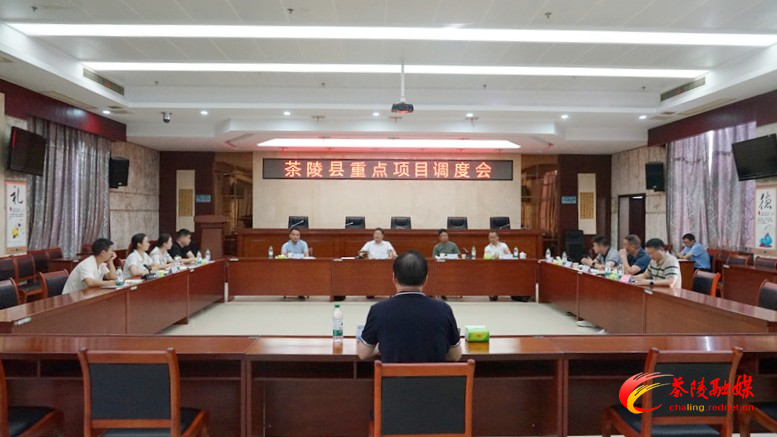 杨红兵调度茶陵县重点项目