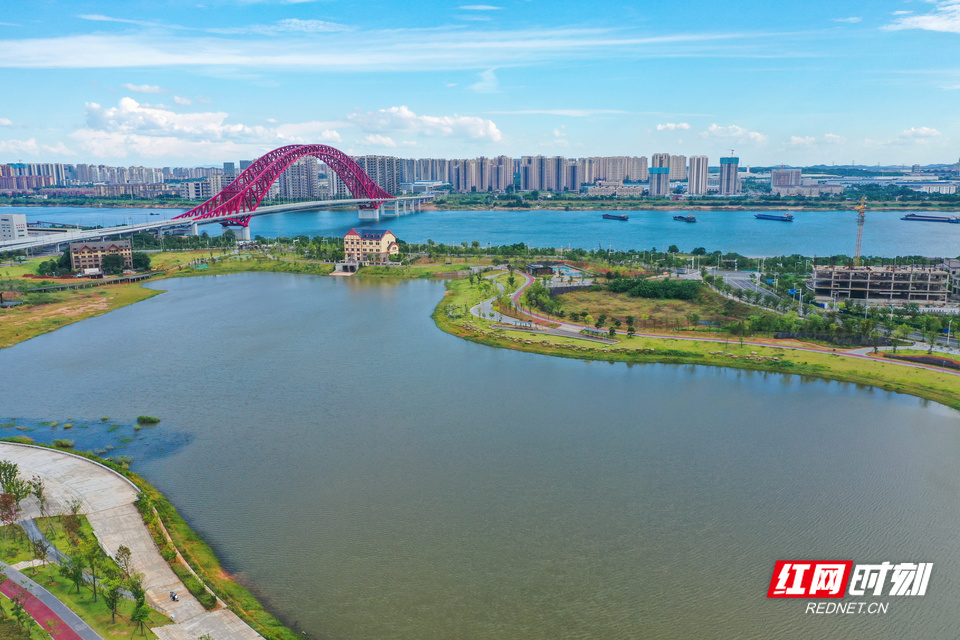 "种草"霞湾港，她遍访湖南矿山寻找最优解
