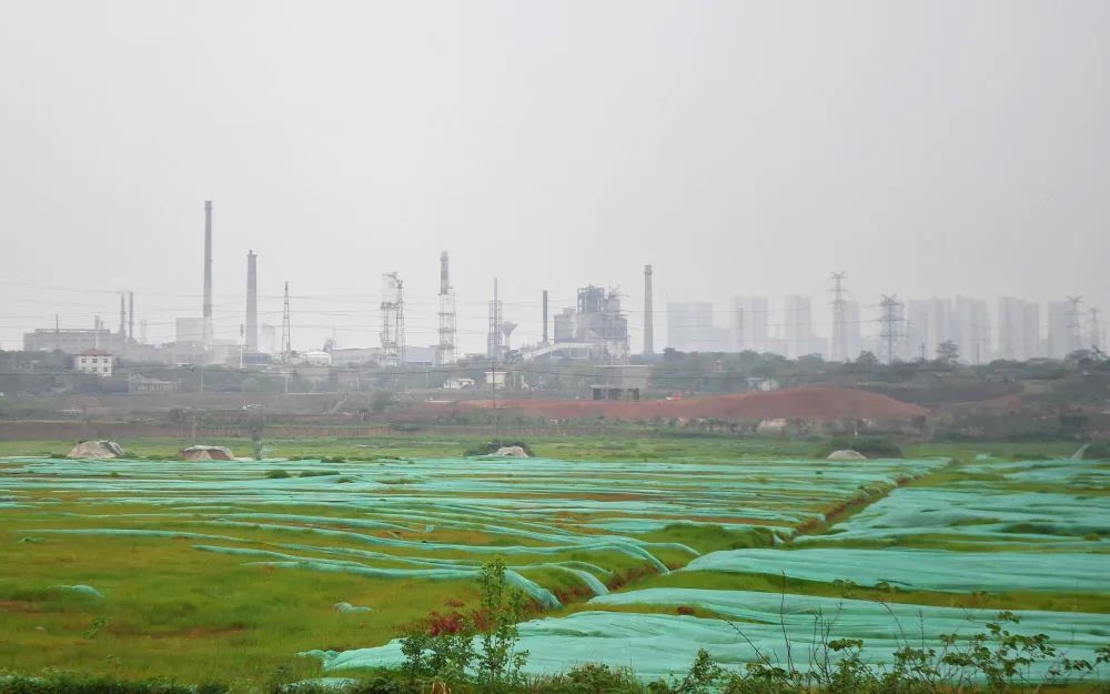 央媒看株洲丨再现"清水塘":一个老工业基地的生态蝶变
