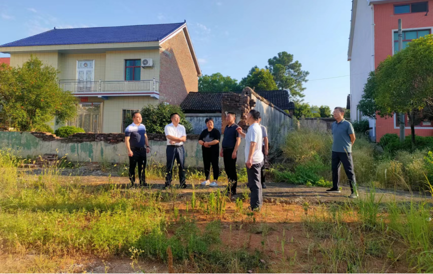 联星街道圳江村：深入实地考察，共绘发展蓝图