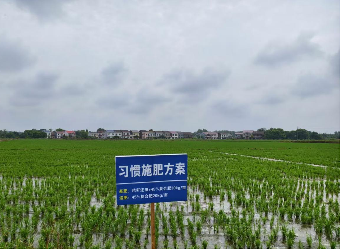 农业农村部专家团调研醴陵市绿色种养循环农业试点工作