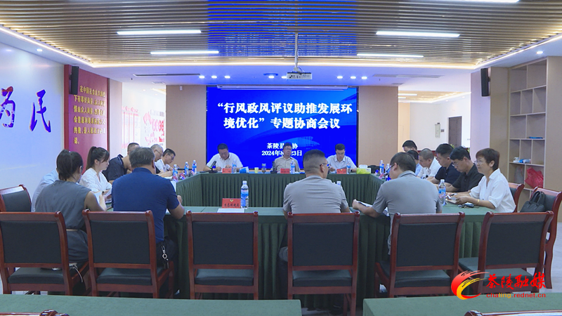 茶陵县“行风政风评议助推发展环境优化”专题协商会议召开