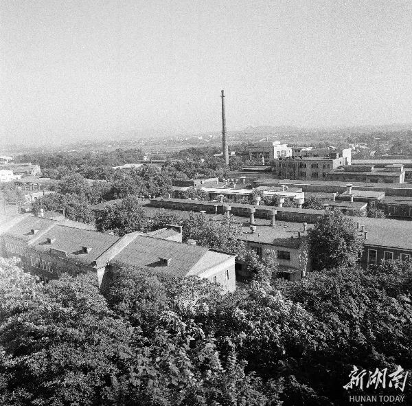 制造名城新而兴——株洲加速转型升级推动经济社会高质量发展